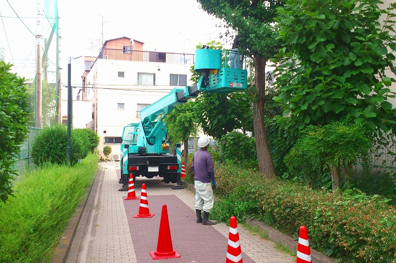 豊春園