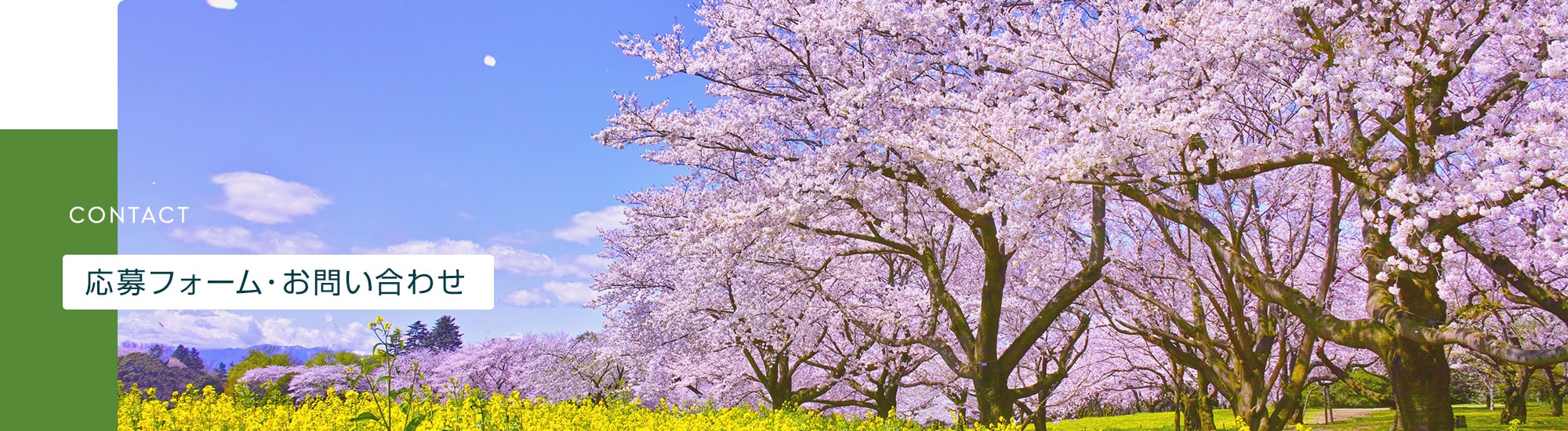 応募フォーム・お問い合わせ